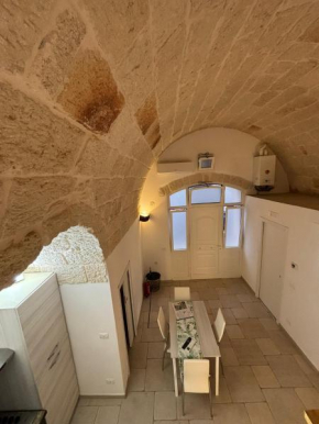 CenVi House